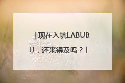 现在入坑LABUBU，还来得及吗？