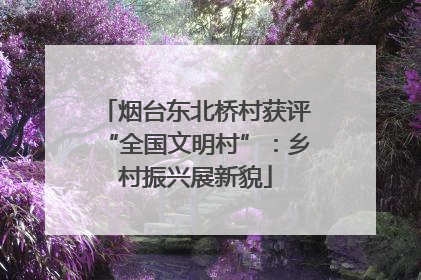 烟台东北桥村获评“全国文明村”：乡村振兴展新貌