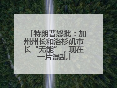 特朗普怒批：加州州长和洛杉矶市长“无能”，现在一片混乱