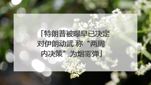 特朗普被曝早已决定对伊朗动武 称“两周内决策”为烟雾弹