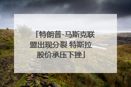 特朗普-马斯克联盟出现分裂 特斯拉股价承压下挫