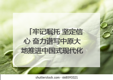 牢记嘱托 坚定信心 奋力谱写中原大地推进中国式现代化新篇章（六）河南绘就“行走河南·读懂中国”新画卷丨牢记嘱托谱新篇