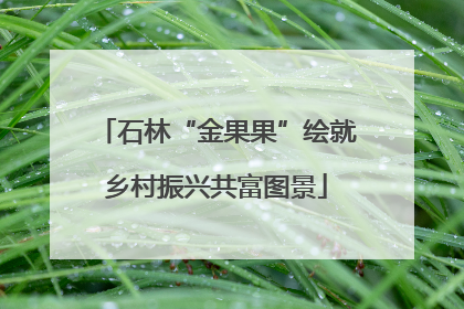 石林“金果果”绘就乡村振兴共富图景