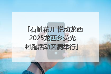 石斛花开 悦动龙西 2025龙西乡荧光村跑活动圆满举行