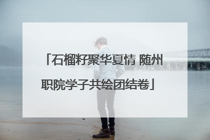 石榴籽聚华夏情 随州职院学子共绘团结卷