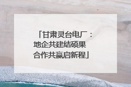 甘肃灵台电厂：地企共建结硕果 合作共赢启新程