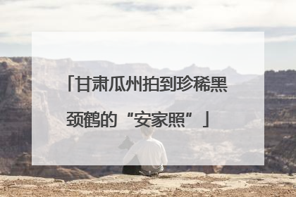 甘肃瓜州拍到珍稀黑颈鹤的“安家照”