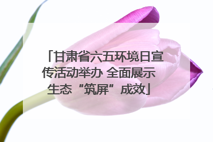 甘肃省六五环境日宣传活动举办 全面展示生态“筑屏”成效