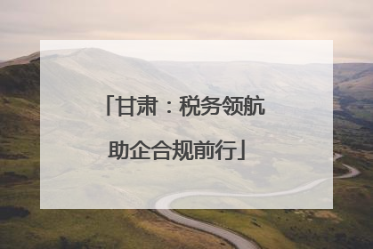 甘肃：税务领航 助企合规前行