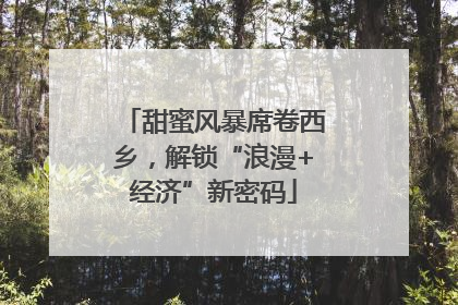甜蜜风暴席卷西乡，解锁“浪漫+经济”新密码