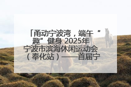 甬动宁波湾，端午“趣”健身 2025年宁波市滨海休闲运动会（奉化站）——首届宁波湾海洋运动会盛