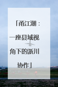 甬江潮：一座县域视角下的浙川协作