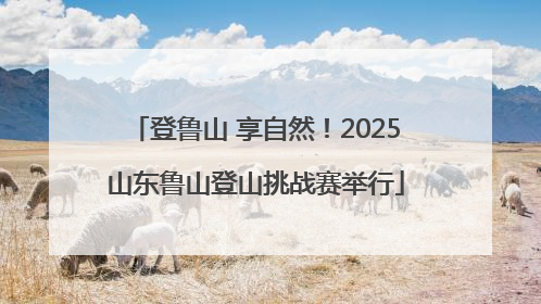 登鲁山 享自然！2025山东鲁山登山挑战赛举行