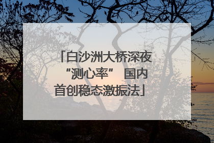 白沙洲大桥深夜“测心率” 国内首创稳态激振法