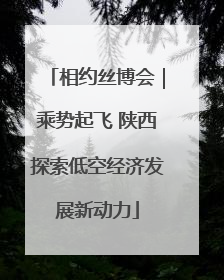 相约丝博会｜乘势起飞 陕西探索低空经济发展新动力