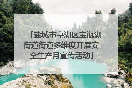 盐城市亭湖区宝瓶湖街道街道多维度开展安全生产月宣传活动