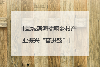 盐城滨海擂响乡村产业振兴“奋进鼓”