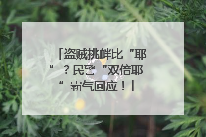 盗贼挑衅比“耶”？民警“双倍耶”霸气回应！