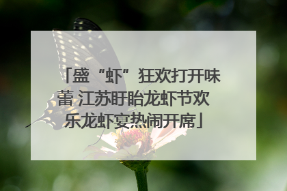盛“虾”狂欢打开味蕾 江苏盱眙龙虾节欢乐龙虾宴热闹开席