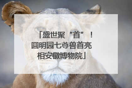 盛世聚“首”！圆明园七尊兽首亮相安徽博物院