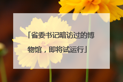 省委书记暗访过的博物馆，即将试运行