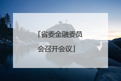 省委金融委员会召开会议