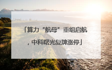 算力“航母”重组启航，中科曙光复牌涨停