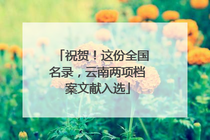 祝贺！这份全国名录，云南两项档案文献入选