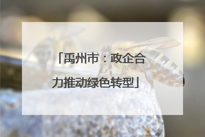 禹州市：政企合力推动绿色转型