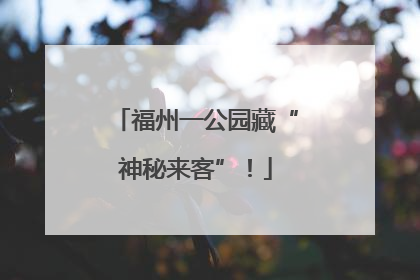 福州一公园藏“神秘来客”！