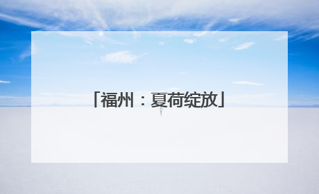 福州：夏荷绽放