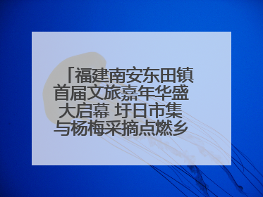 福建南安东田镇首届文旅嘉年华盛大启幕 圩日市集与杨梅采摘点燃乡村振兴新动能