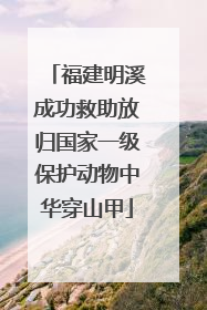 福建明溪成功救助放归国家一级保护动物中华穿山甲