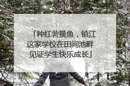 种红薯摸鱼，镇江这家学校在田间池畔见证学生快乐成长