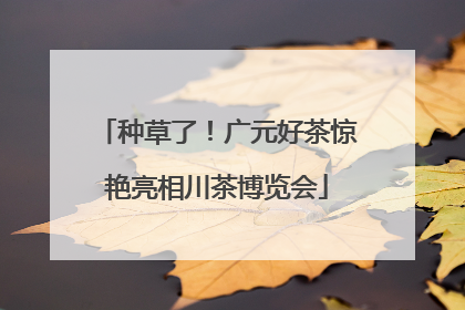 种草了！广元好茶惊艳亮相川茶博览会