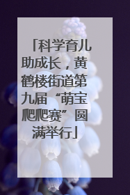 科学育儿助成长，黄鹤楼街道第九届“萌宝爬爬赛”圆满举行