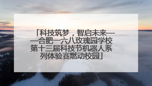 科技筑梦，智启未来——合肥一六八玫瑰园学校第十三届科技节机器人系列体验赛燃动校园