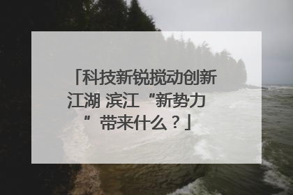 科技新锐搅动创新江湖 滨江“新势力”带来什么？