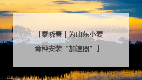 秦晓春｜为山东小麦育种安装“加速器”