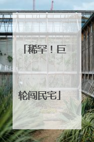 稀罕！巨轮闯民宅