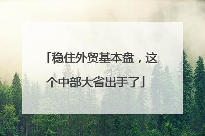 稳住外贸基本盘，这个中部大省出手了