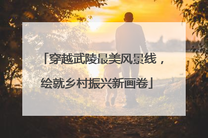 穿越武陵最美风景线，绘就乡村振兴新画卷