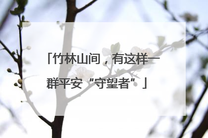 竹林山间，有这样一群平安“守望者”