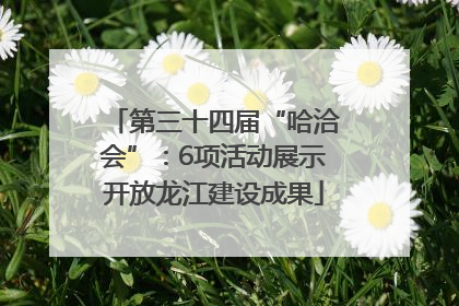 第三十四届“哈洽会”：6项活动展示开放龙江建设成果