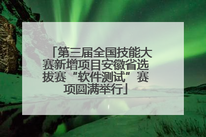 第三届全国技能大赛新增项目安徽省选拔赛“软件测试”赛项圆满举行