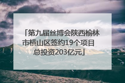 第九届丝博会陕西榆林市横山区签约19个项目 总投资203亿元