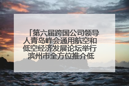 第六届跨国公司领导人青岛峰会通用航空和低空经济发展论坛举行 滨州市全方位推介低空经济发展优势