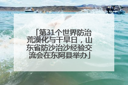 第31个世界防治荒漠化与干旱日，山东省防沙治沙经验交流会在东阿县举办