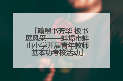 翰墨书芳华 板书展风采——蚌埠市蚌山小学开展青年教师基本功考核活动
