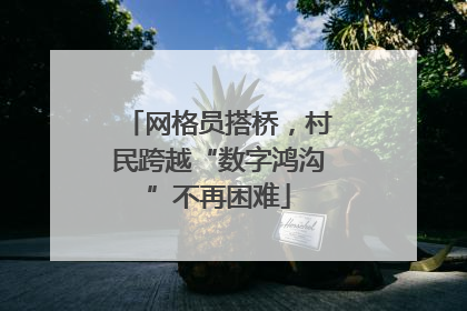 网格员搭桥，村民跨越“数字鸿沟”不再困难